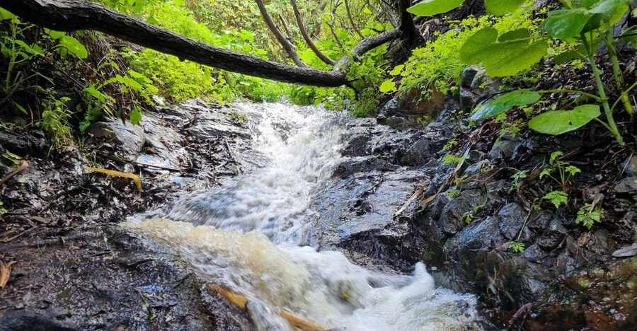 Gran Canaria: "Magic Waterfalls" Hiking Tour - A small-group ride from the resort coast