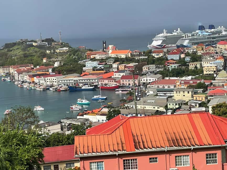 Grenada: Half-Day Island Tour with Waterfall Swim Stop - The drive to Annandale Falls
