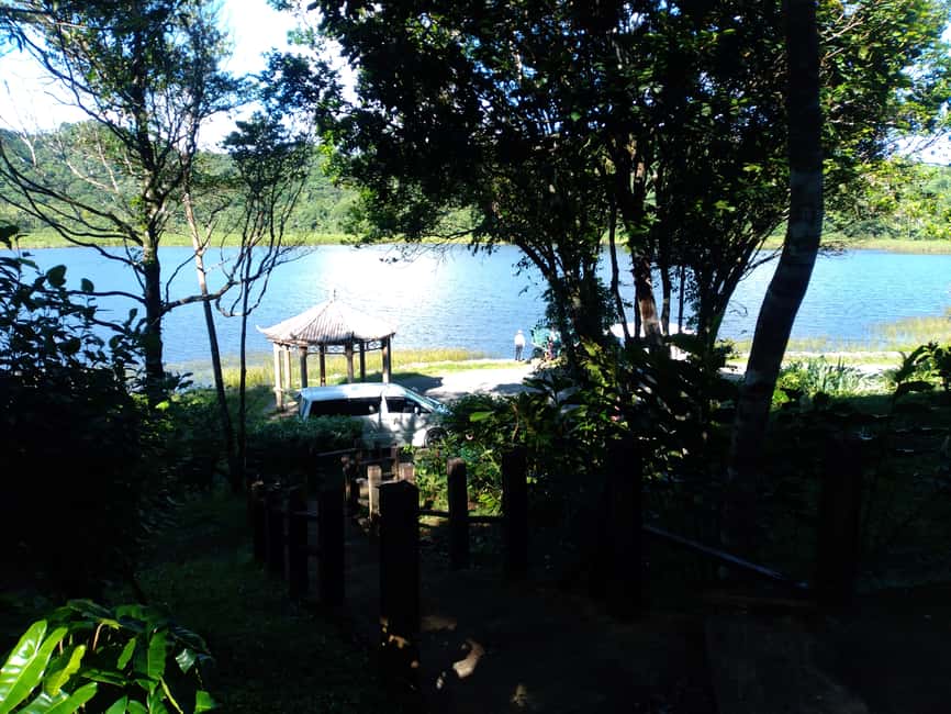 Grenada: Half-Day Island Tour with Waterfall Swim Stop - The guide can shape the whole experience