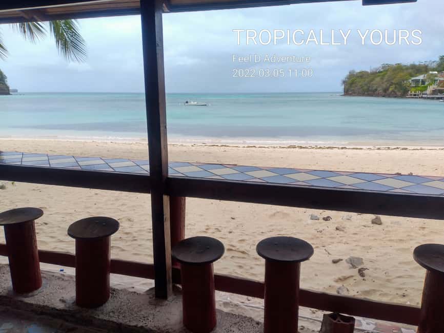Grenada: Half-Day Island Tour with Waterfall Swim Stop - St. George’s and Fort Frederick set the scene