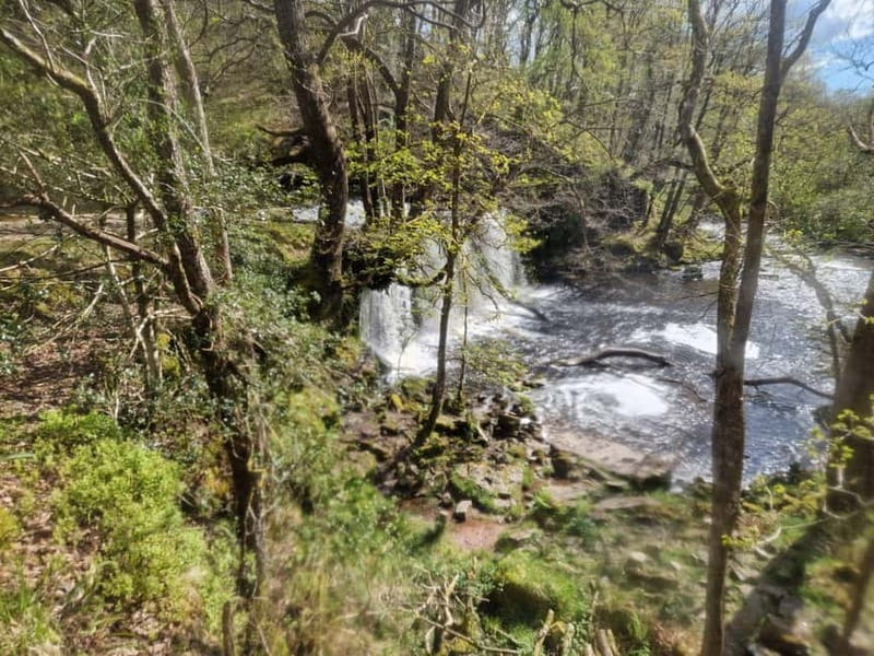Guided Breacon Beacons 4 waterfalls in day hike from Cardiff - Cobblers Bridge and the first hour on foot
