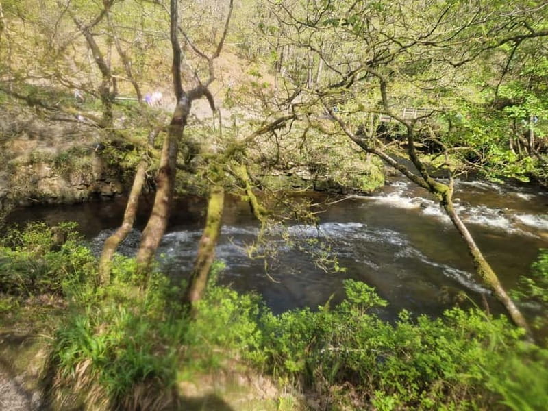 Guided Breacon Beacons 4 waterfalls in day hike from Cardiff - Sgwd y Pannwr, a quieter pause in the trees