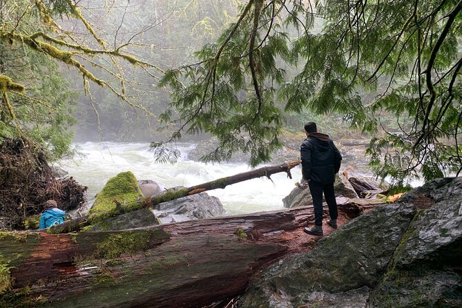 Guided forest hike to Seattle waterfalls incl. Snoqualmie Falls - Why this half-day trip works so well from Seattle