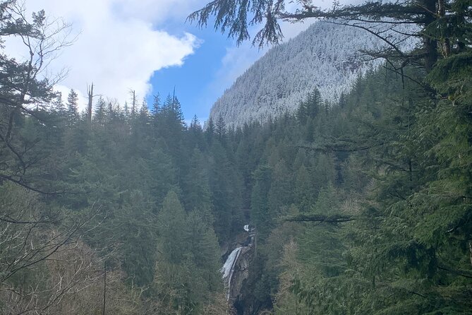 Guided forest hike to Seattle waterfalls incl. Snoqualmie Falls - North Bend brings a Twin Peaks connection
