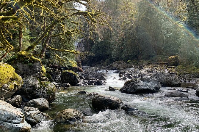 Guided forest hike to Seattle waterfalls incl. Snoqualmie Falls - Guides make the difference