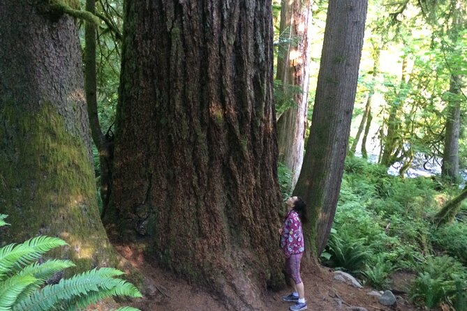 Guided forest hike to Seattle waterfalls incl. Snoqualmie Falls - Twin Falls and Upper Falls reward the effort