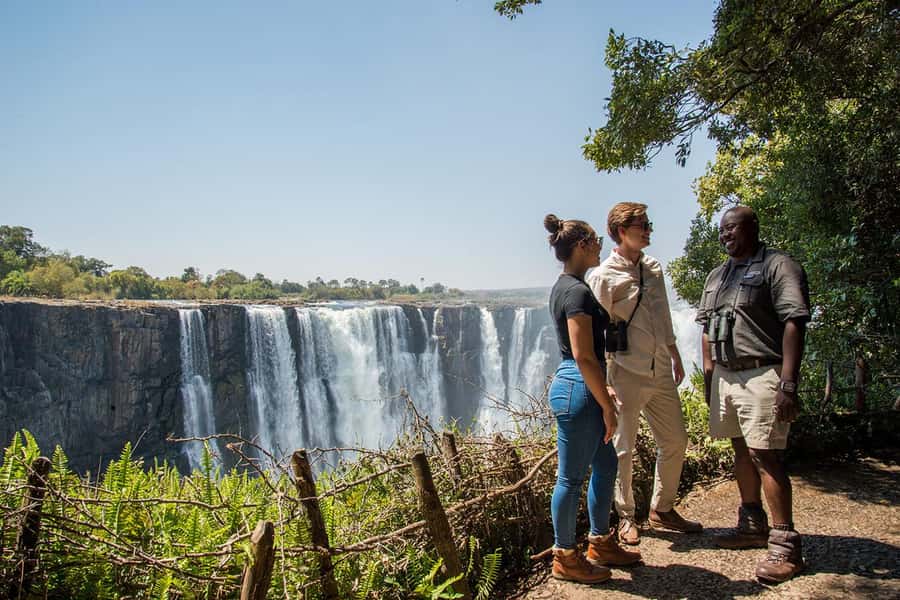 Guided Scenic Tour Of The Victoria Falls – Experience Nature - The Big Tree Adds a Different Kind of Stop