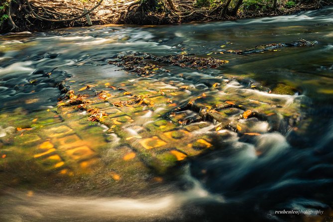 Guided Small-Group Tour in Kulen Mountain Park Waterfall - Palm juice and the rural finish