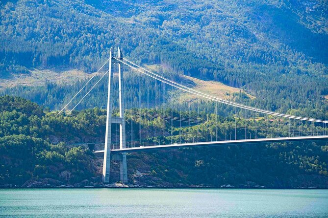 Guided tour to Hardangerfjord with Waterfalls and Ferry Crossing - Norheimsund is your lunch window