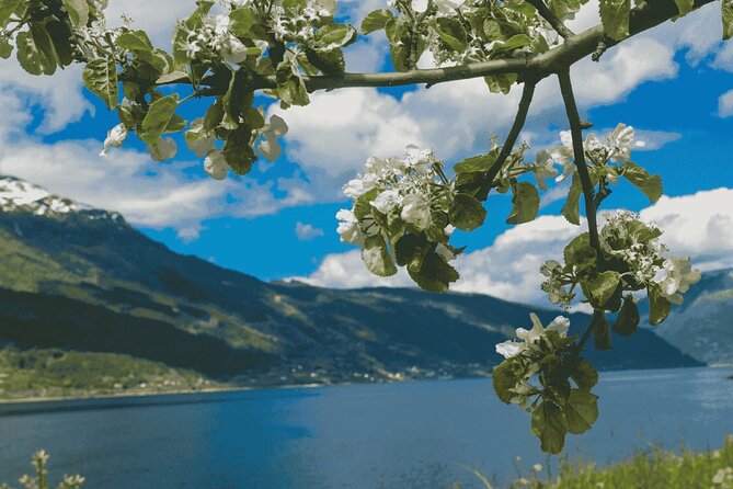 Guided tour to Hardangerfjord with Waterfalls and Ferry Crossing - The road beside Hardangerfjord