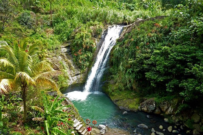 Half-Day Concord Waterfall and Chocolate Factory Tour - Why this tour works as a first look at Grenada