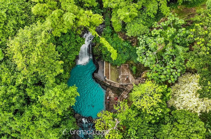 Half-Day Grenada River Tubing -Grand Etang & Annandale Falls - Who gets the best value from this tour