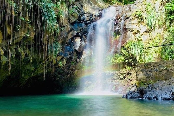 Half-Day Grenada River Tubing -Grand Etang & Annandale Falls - Grand Etang and the search for Mona monkeys