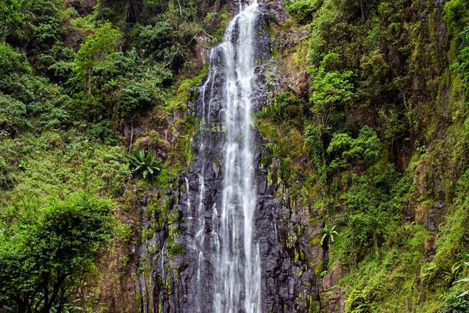 Half-Day Private Tour to Materuni Waterfalls and Coffee excursion - The private format and what $68 buys you