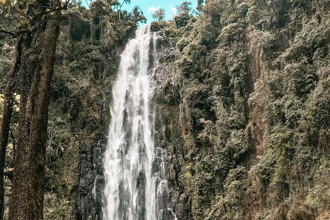 Half-Day Private Tour to Materuni Waterfalls and Coffee excursion - How the four to five hours are likely to work