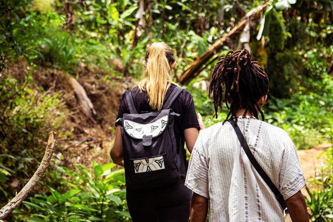 Half-Day Private Tour to Materuni Waterfalls and Coffee excursion - Who will enjoy this outing most