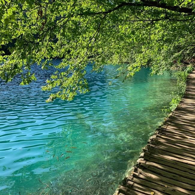 Half day tour around Plitvice Lakes - Key points to know before you go