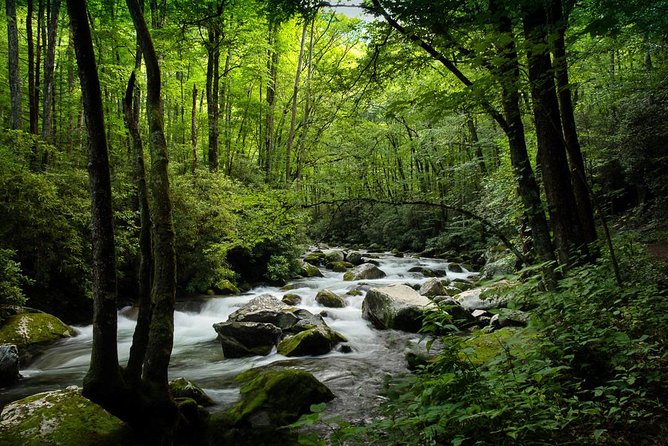 Half-Day Tour With Instruction in Vistas & Waterfall Photography - Getting to the Meeting Point