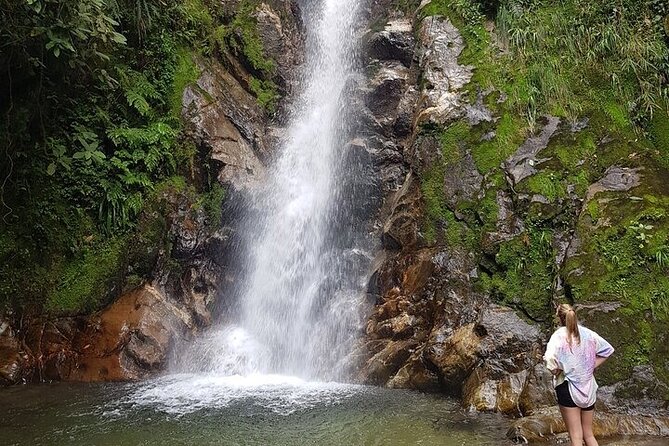Half Day Waterfall Tour from Medellin - Guides, safety, and group comfort