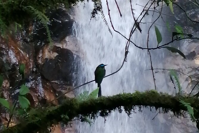 Half Day Waterfall Tour from Medellin - Weather, cancellations, and the meeting point