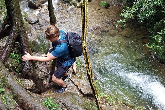 Half Day Waterfall Tour from Medellin - Walking to Chorro De Las Campanas