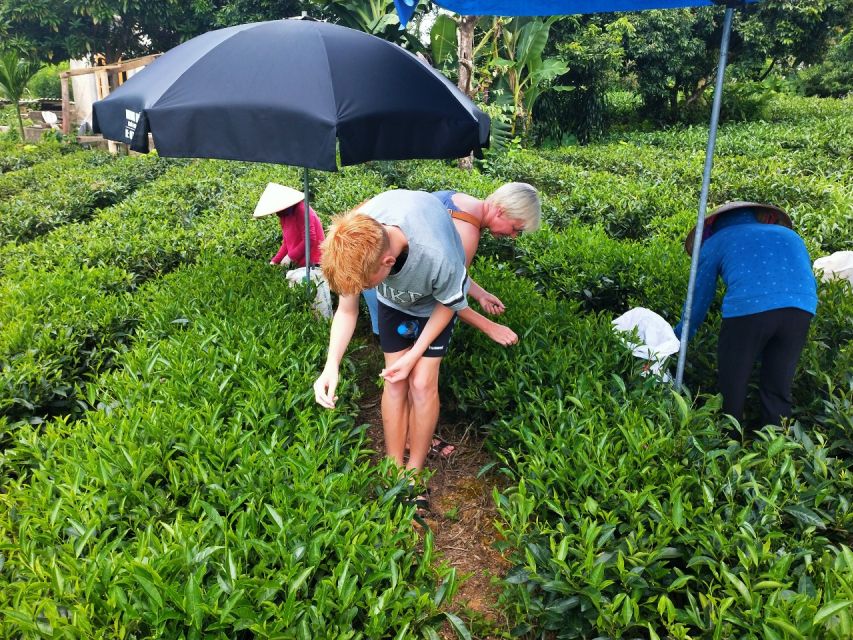 Hanoi: 3-Day Tour to Ban Gioc Waterfall and Ba Be Lake - Key points to know before booking
