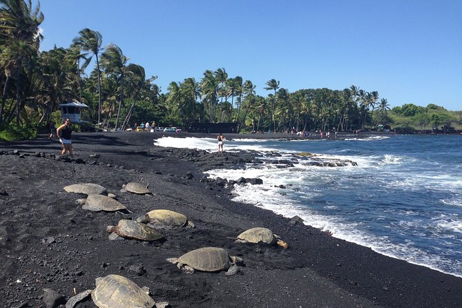 Hawaii Big Island Circle Small Group Tour: Waterfalls - Hilo - Volcano - Black Sand Beach - What makes this Big Island circle tour worth considering