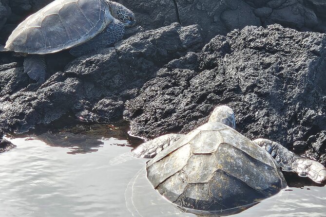 Hawaii Volcanoes, Waterfalls, Beaches & Hilo Highlights Day Tour - Liliʻuokalani Gardens beside Hilo Bay