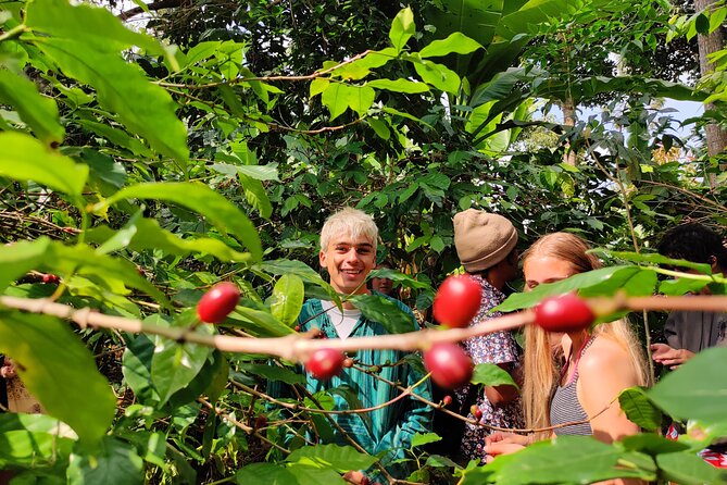 Hidden Arusha Waterfall, Coffee & Village Tour (All-Inclusive) - Key points to know before you go