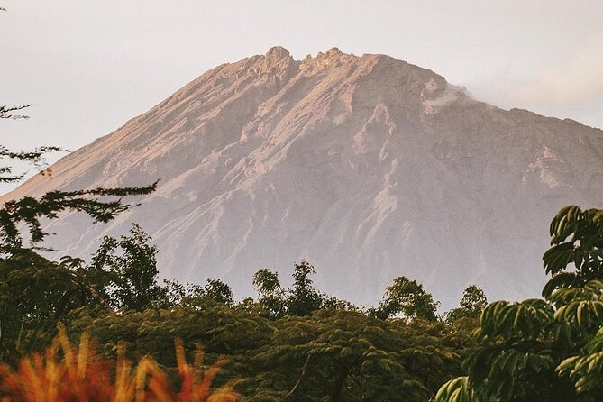 Hidden Arusha Waterfall, Coffee & Village Tour (All-Inclusive) - Swimming at Mangalia Waterfalls