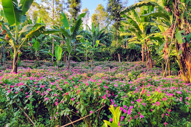 Hidden Arusha Waterfall, Coffee & Village Tour (All-Inclusive) - The wide view from Akheri