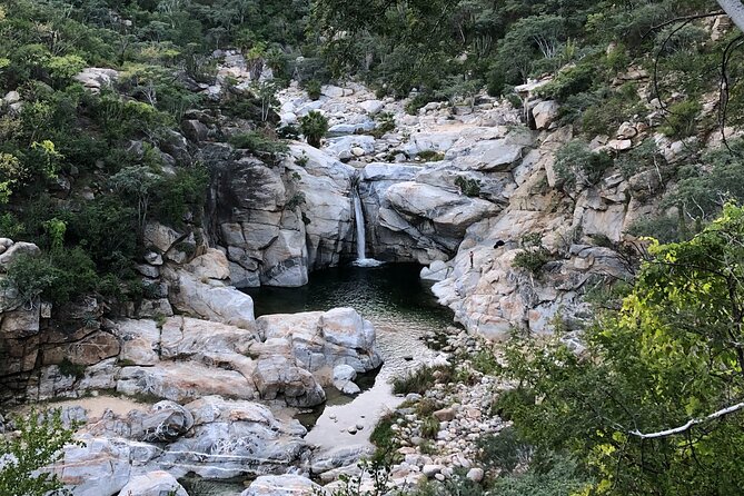 Hidden Waterfalls Hiking Adventure - Key points to know before you book