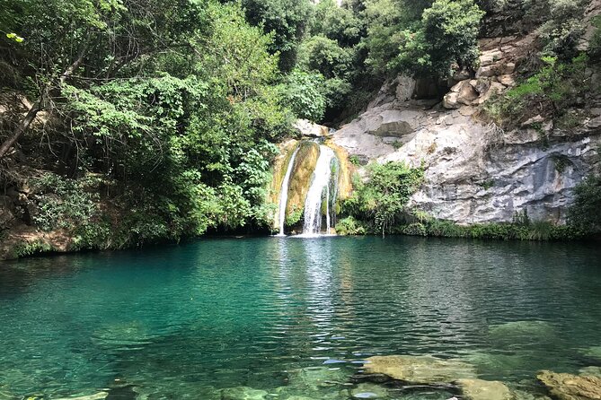 Hike to Secret Waterfalls of the Pyrenees Mountains, From Barcelona & Girona - Why Alta Garrotxa feels far from Barcelona