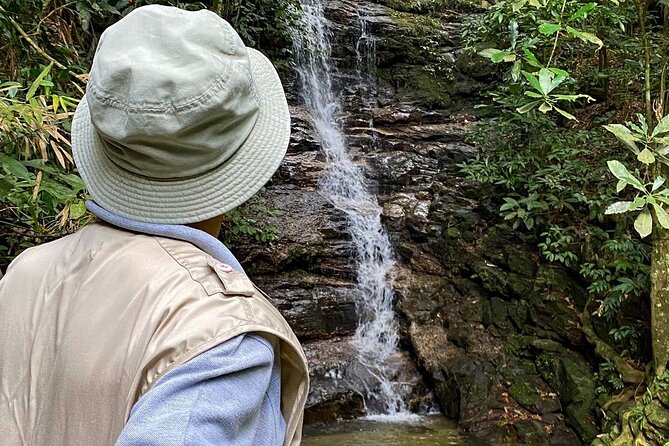 Hiking in the Tijuca Forest : Waterfalls and Caves - Hotel pickup keeps the morning simple