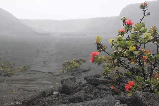 Hilo Cruise Ship Excursion: Volcanoes National Park Rainbow Falls - Hawaii Volcanoes National Park is the reason to book