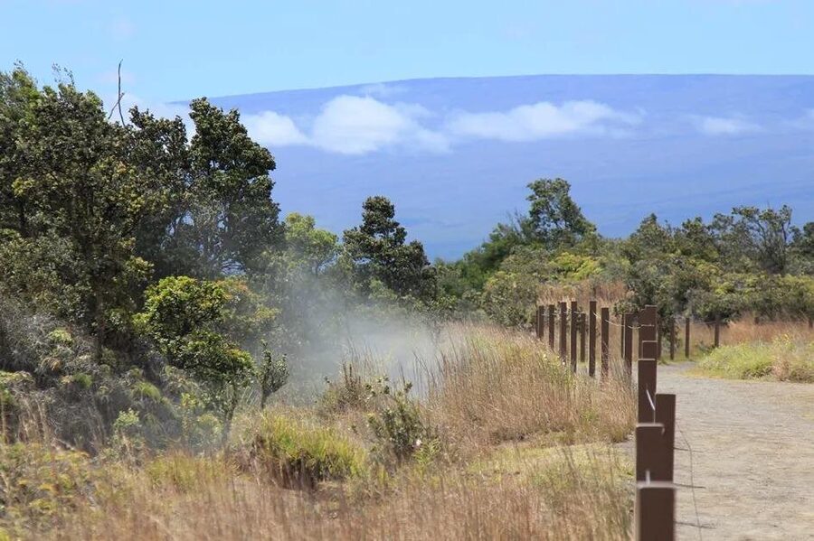 Hilo Cruise Ship Excursion: Volcanoes National Park Rainbow Falls - Halema’uma’u Crater and the short walk