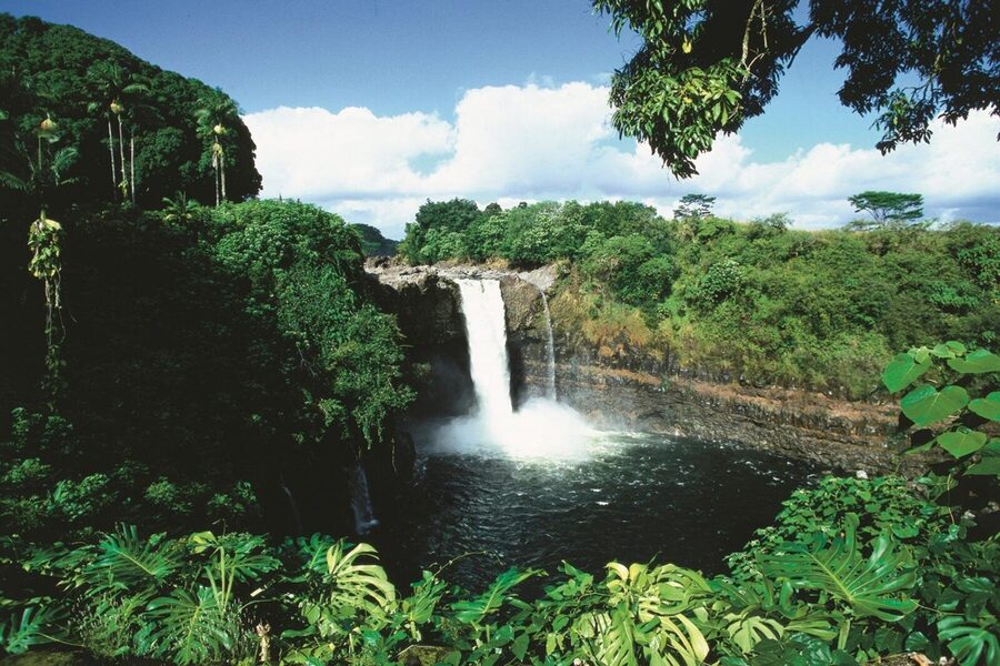 Hilo Cruise Ship Excursion: Volcanoes National Park Rainbow Falls - The guide can make or break the ride