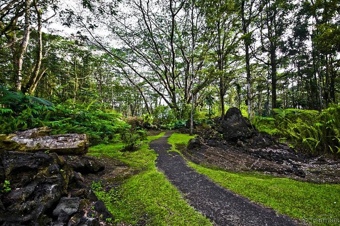 Hilo Shore Excursion: Volcano Safari Lava Caves & Black Sand - A coastal overlook and the old Kings Trails