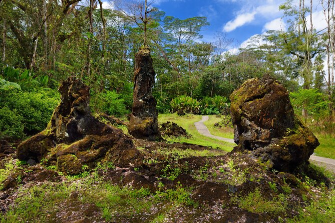 Hilo Shore Excursion: Volcano Safari Lava Caves & Black Sand - Small van, local commentary, and the value of the price