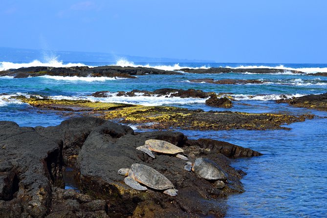 Hilo Shore Excursion: Volcanoes National Park & Black Sand Beach - Why This Hilo Shore Excursion Works