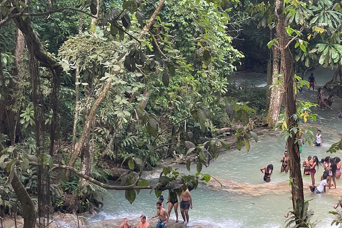 Horseback Riding and Swimming then Dunn's River Falls - The driver can shape the whole day