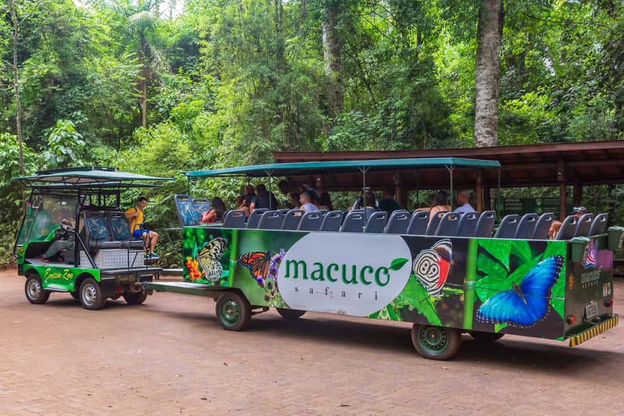 Iguassu Falls: Guided Tour & Macuco Safari on Pontoon Boats - Who will get the most from this tour