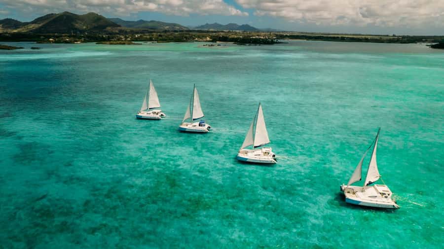 Ile Aux Cerfs: Catamaran Cruise, island, waterfalls, Lunch - Who Will Enjoy This Catamaran Day?