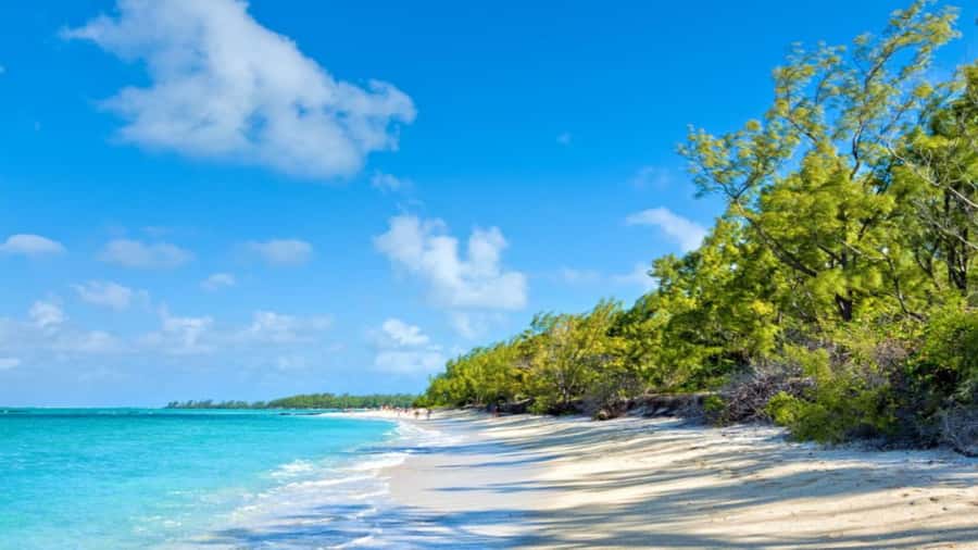 Ile Aux Cerfs Catamaran Cruise & Waterfalls- Lunch & Drinks - How the group size changes the experience