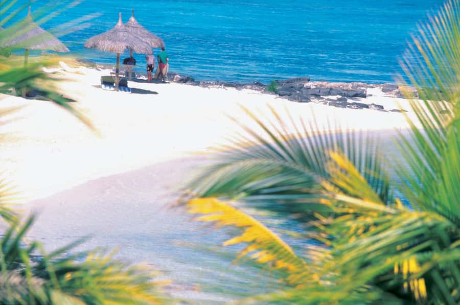 Ile aux Cerfs: Island & Waterfall Speedboat Tour with Lunch - Ile aux Cerfs, beautiful but not deserted