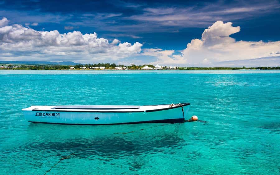Ile aux cerfs: Private picnic, waterfall, bbq beach lunch - The sea changes color along the way
