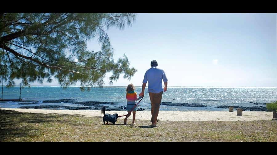 Ile aux cerfs: Private picnic, waterfall, bbq beach lunch - Ile aux Cerfs: beach time on your schedule