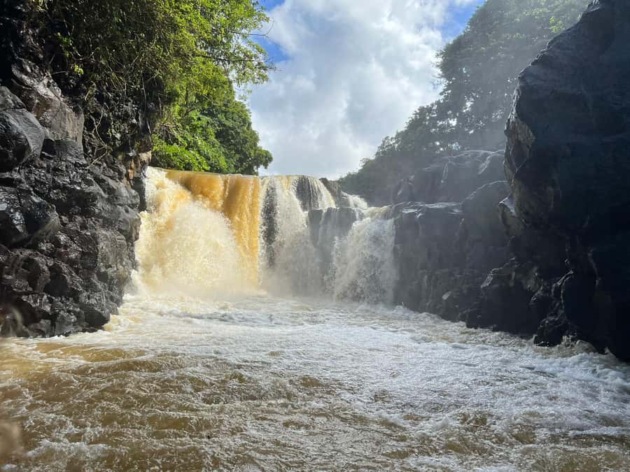 Ile aux cerfs: Private picnic, waterfall, bbq beach lunch - Who will enjoy this most