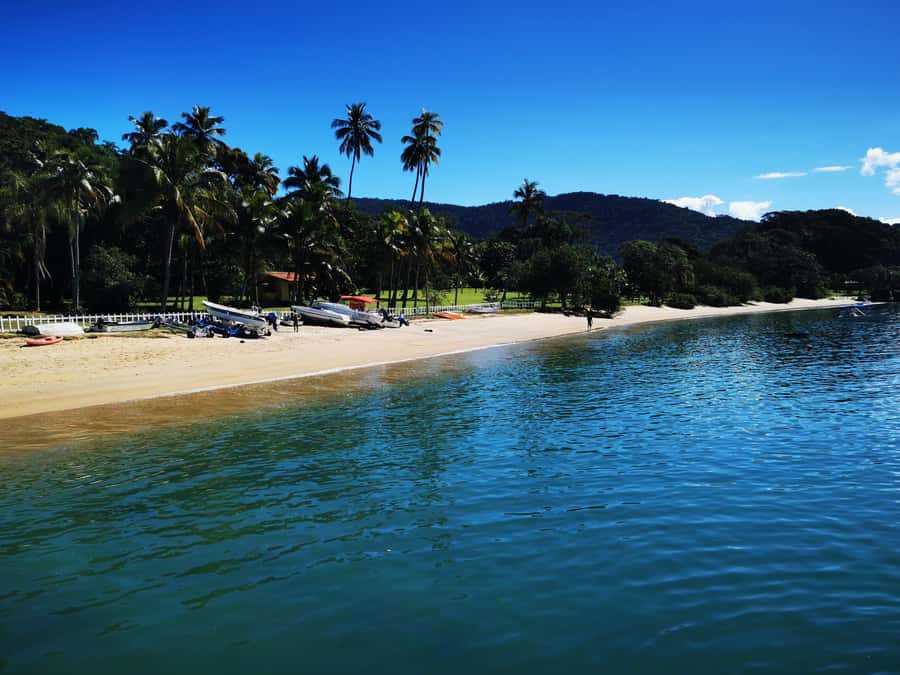 Ilha Grande: Private Hiking with Forest, Beaches & Waterfall - What the $269 price means