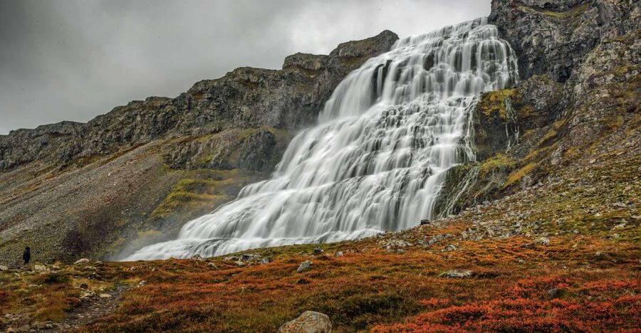 Isafjordur: Dynjandi Waterfall Tour and Icelandic Farm Visit - Key points to know before you book